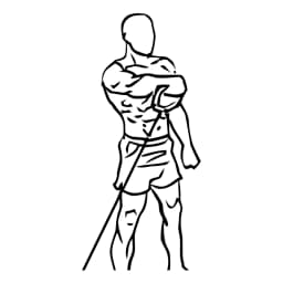 Front Cable Raises