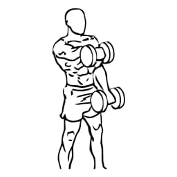 Front Raises