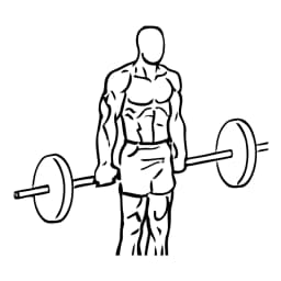 Hack Squat With Barbell