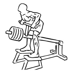 T Bar Rows