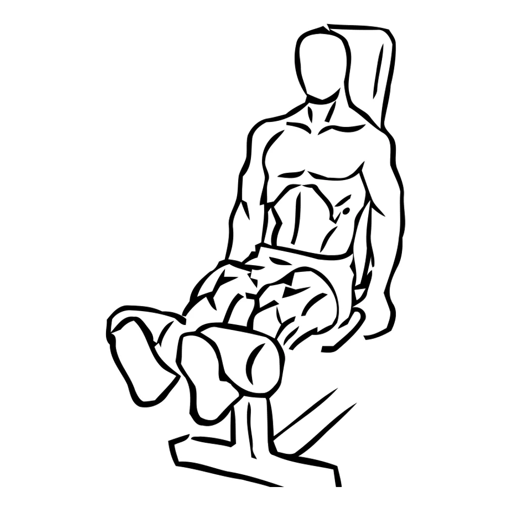Leg Extensions
