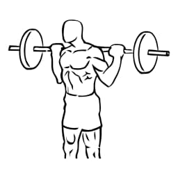 Barbell Squat