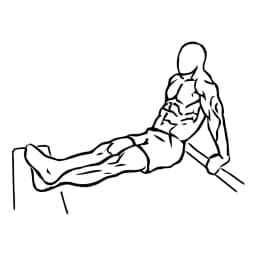Bench Dips