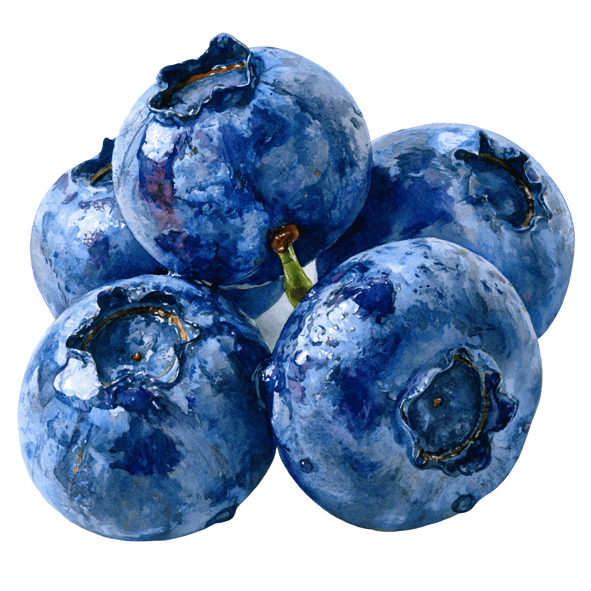Blueberry
