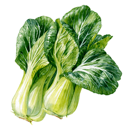 Bok Choy