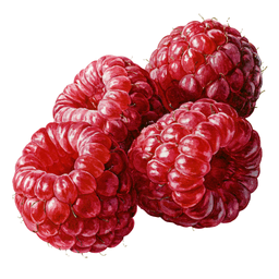 Raspberry