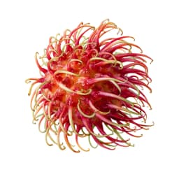 Rambutan