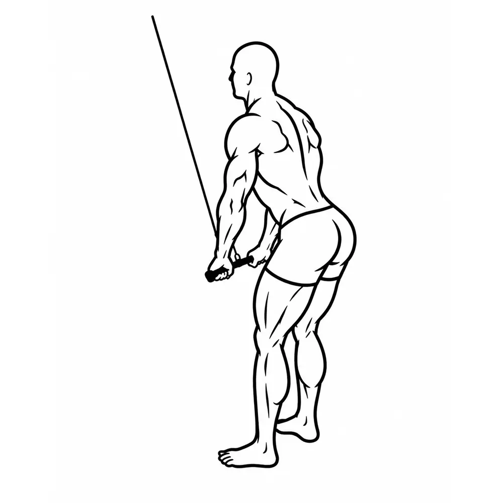 Arm Pulldown
