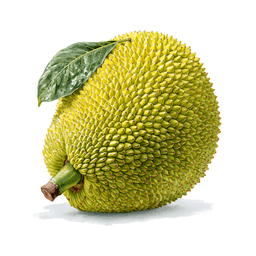 Jackfruit