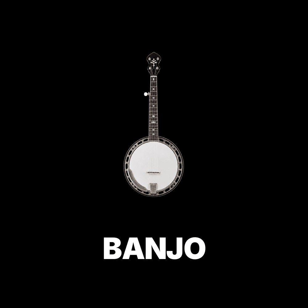 Banjo